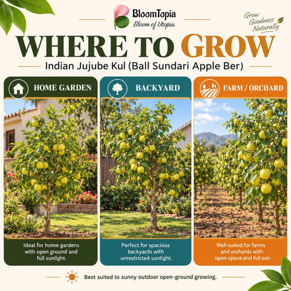 Illustrated growing locations for Ball Sundari Apple Ber.