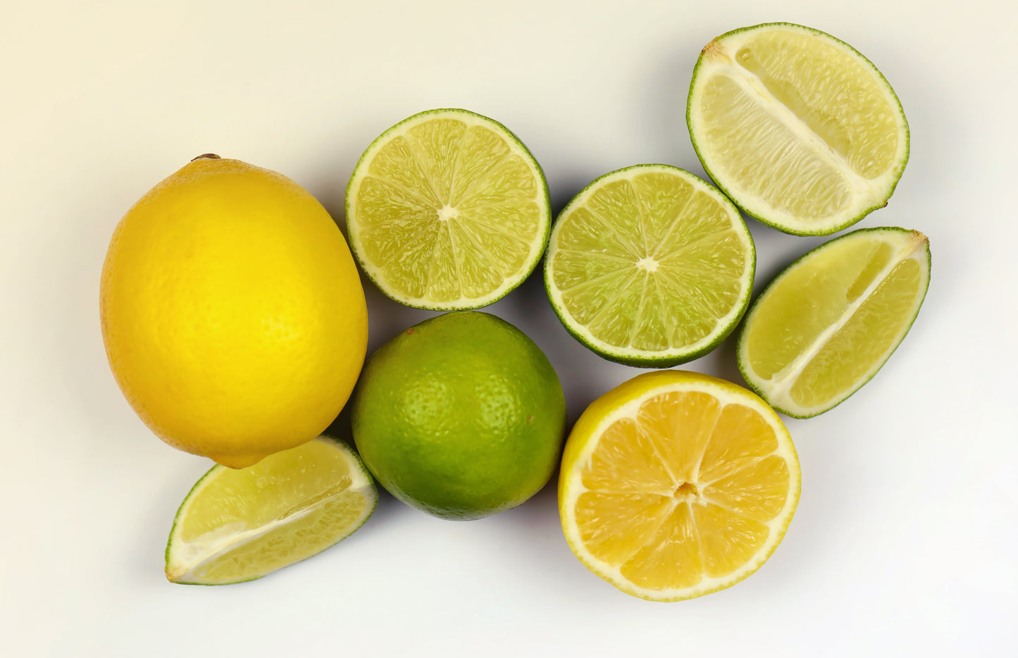 BloomTopia Seedless Lemon (Nimbu) Hybrid Live Plant | Original Air-Layered Citrus Fruit Plant | All Season, Fast Growing, High Yield Variety for Pot, Balcony & Home Garden | Approx Height 1–2 Ft