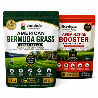 Bermuda grass seed and germination booster packs.