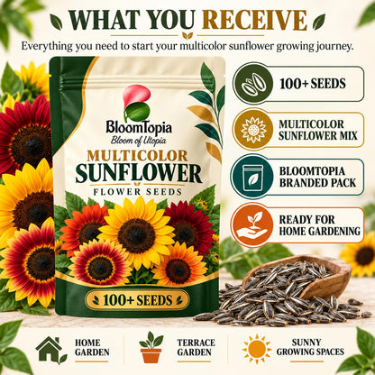Sunflower seed packet contents.