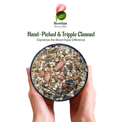 Hand holding a bowl of mixed bird seed.