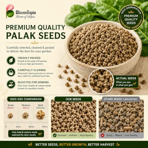 Palak spinach seeds beside their packaging.