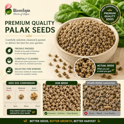 Palak spinach seeds beside their packaging.