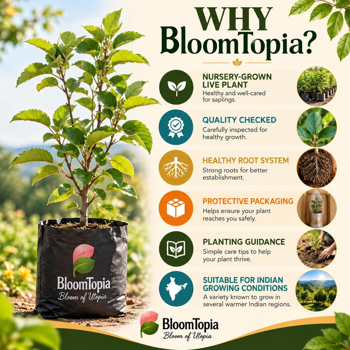 BloomTopia plant-handling and brand-information panel featuring HRMN-99 Hariman Apple.