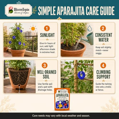 Aparajita sunlight, watering, soil and climbing-support guide.