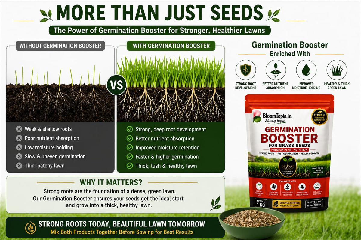 Germination booster product information panel.