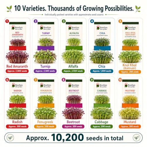 Ten microgreen varieties shown as labelled seed packs and seedling trays.