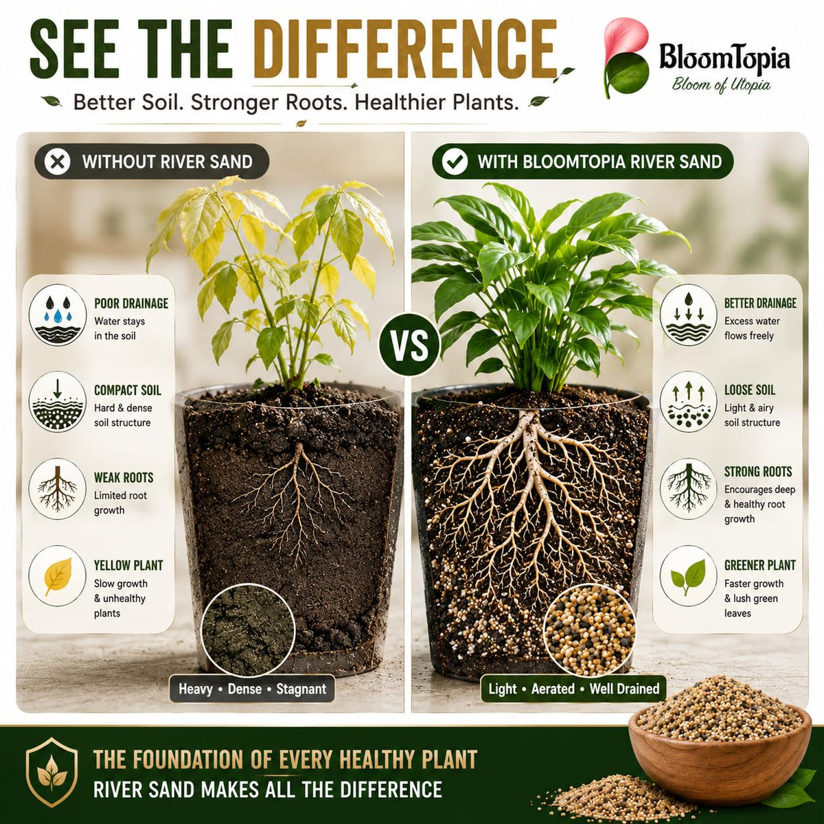 Illustrated soil drainage comparison.