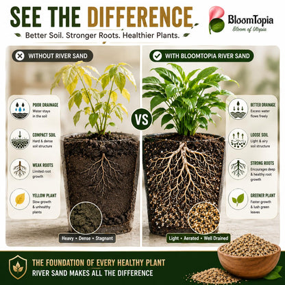 Illustrated soil drainage comparison.