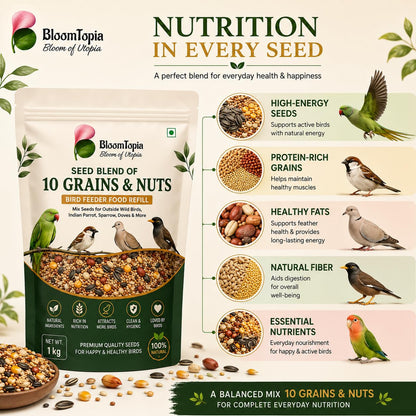 Bird seed mix nutrition-themed illustration with ingredient close-ups.