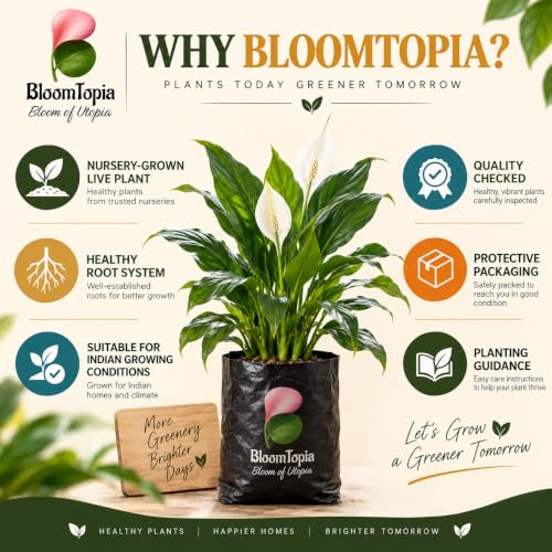BloomTopia plant-handling and brand-information panel featuring Peace Lily (Spathiphyllum).