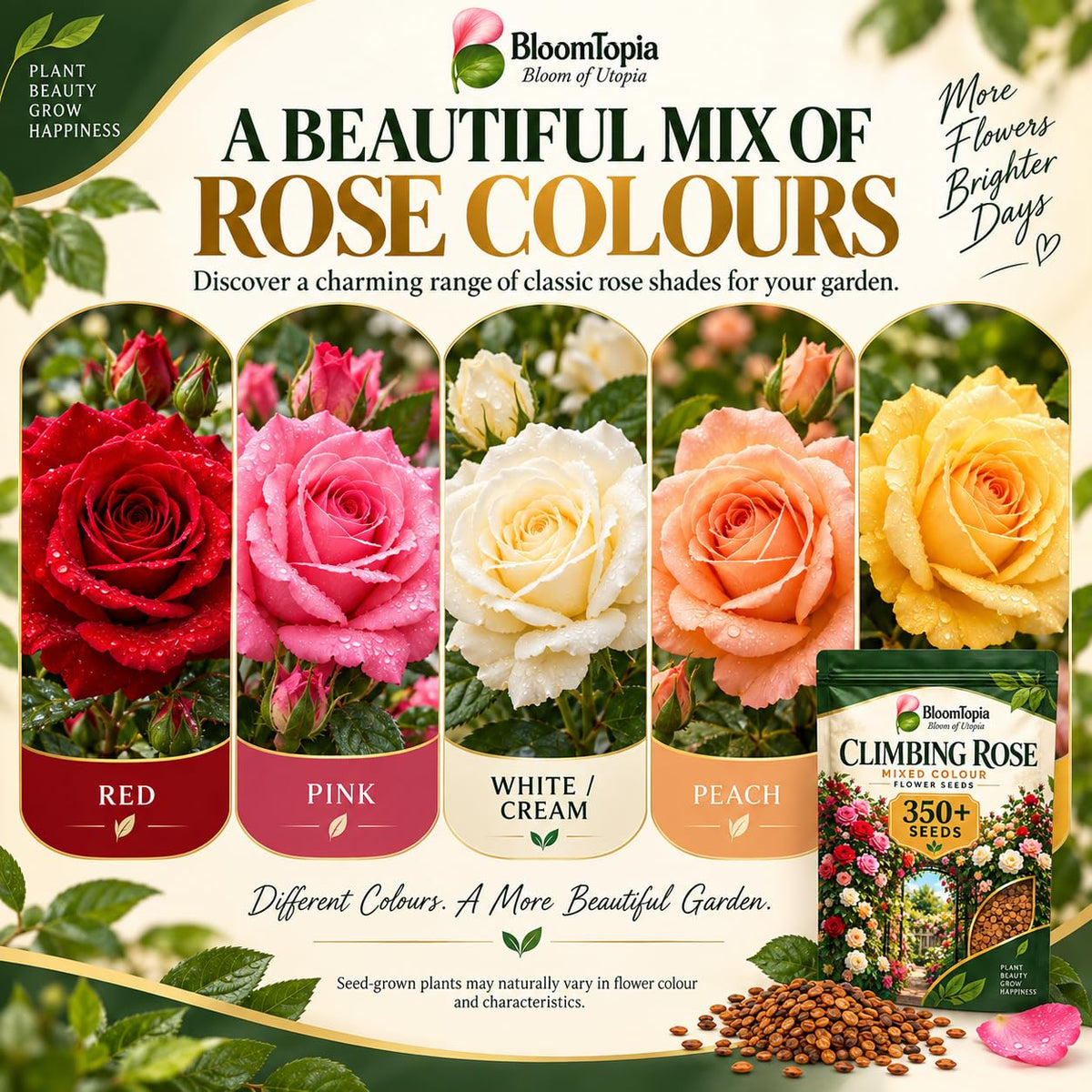 Illustrated assortment of rose flower colours.