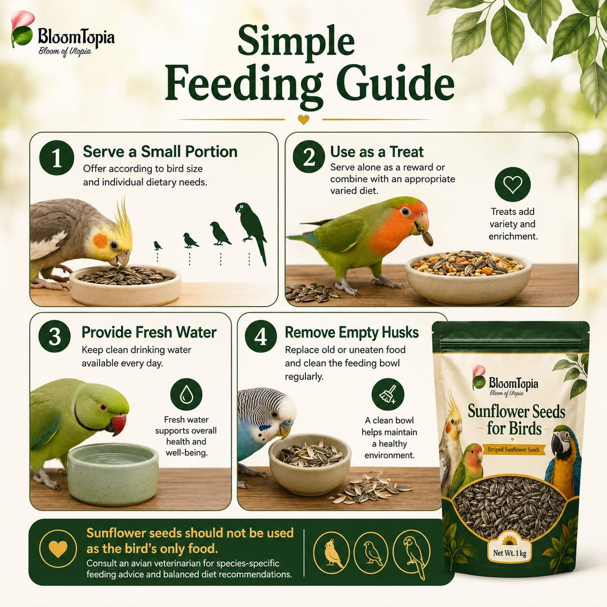 Sunflower seed bird feeding guide.
