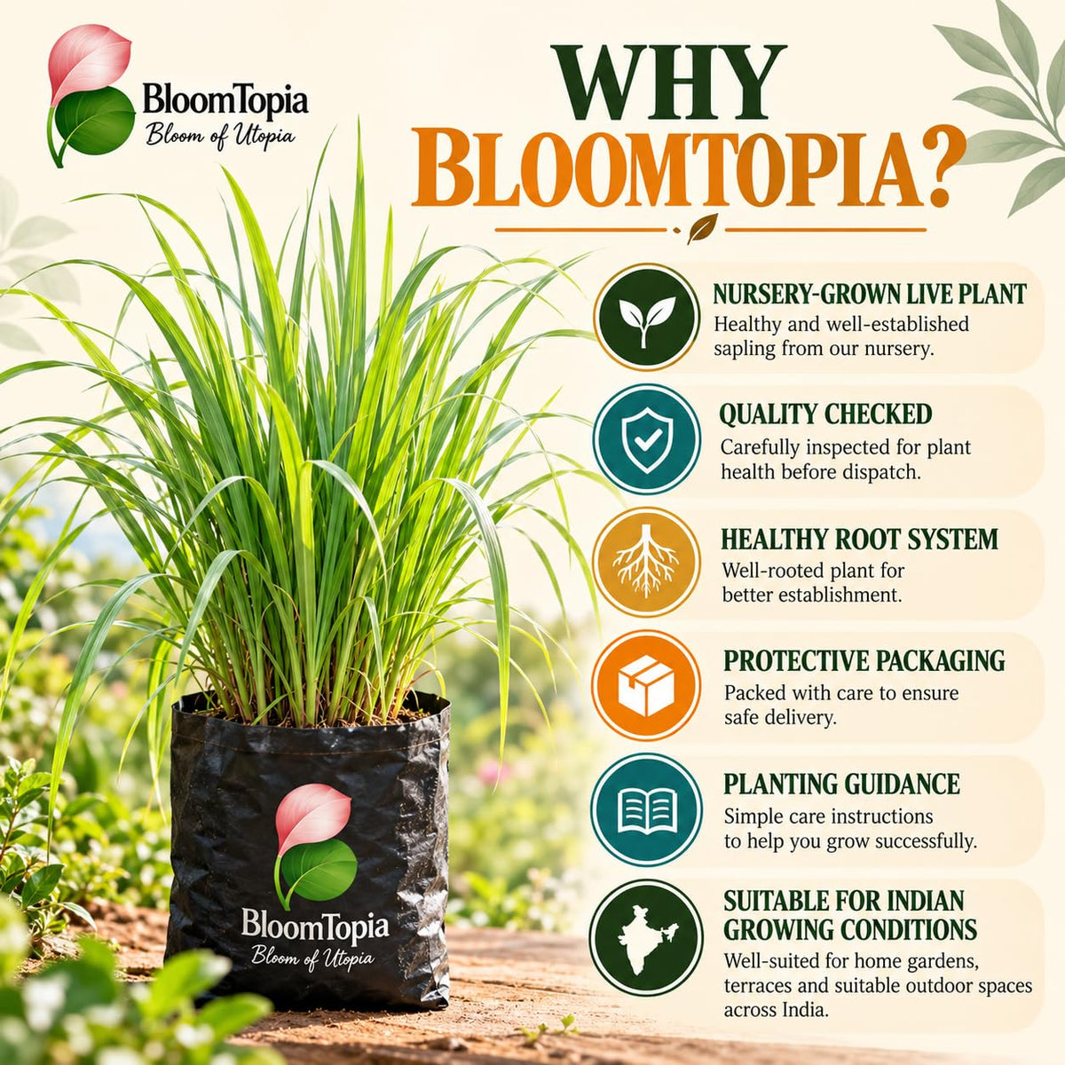 BloomTopia plant-handling and brand-information panel featuring Lemongrass.