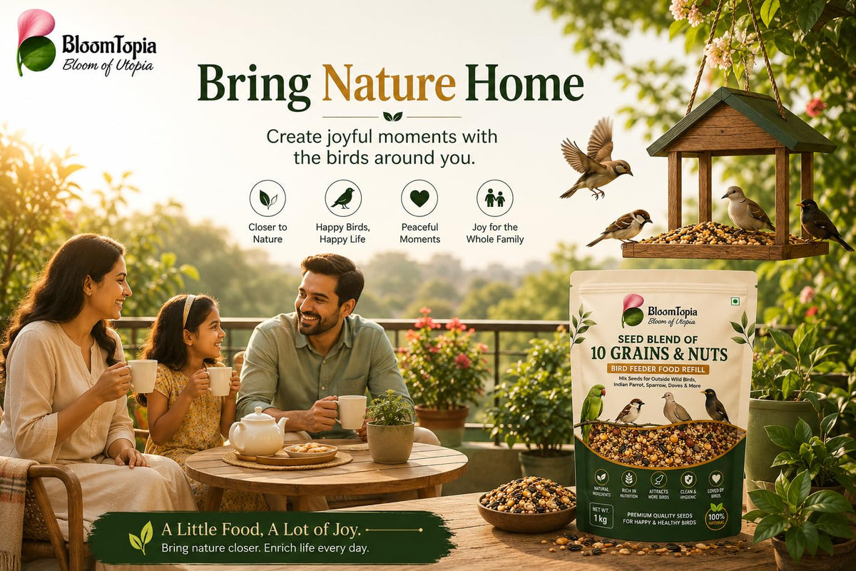 Garden scene with people, birds, a feeder and seed packaging.