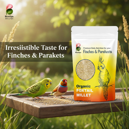 Birds feeding beside a foxtail millet pouch.