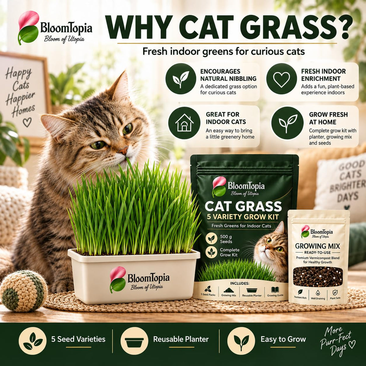 Cat beside illustrated grass-growing benefits and product packaging.