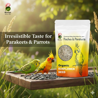 Birds feeding beside a striped sunflower seed pouch.
