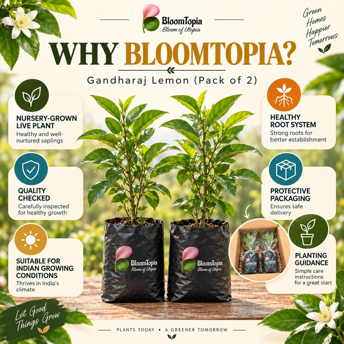 BloomTopia plant-handling and brand-information panel featuring Gandharaj Lemon.