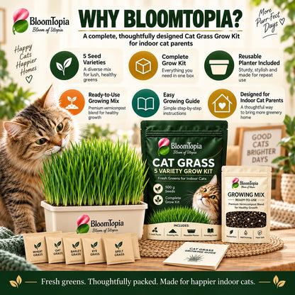BloomTopia cat grass kit and brand-information panel.
