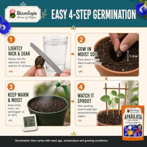 Four-step hard-seed preparation and sowing illustration.