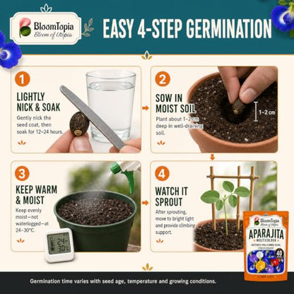 Four-step hard-seed preparation and sowing illustration.