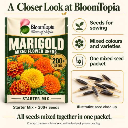 Marigold seed-pack illustration with a loose-seed close-up.