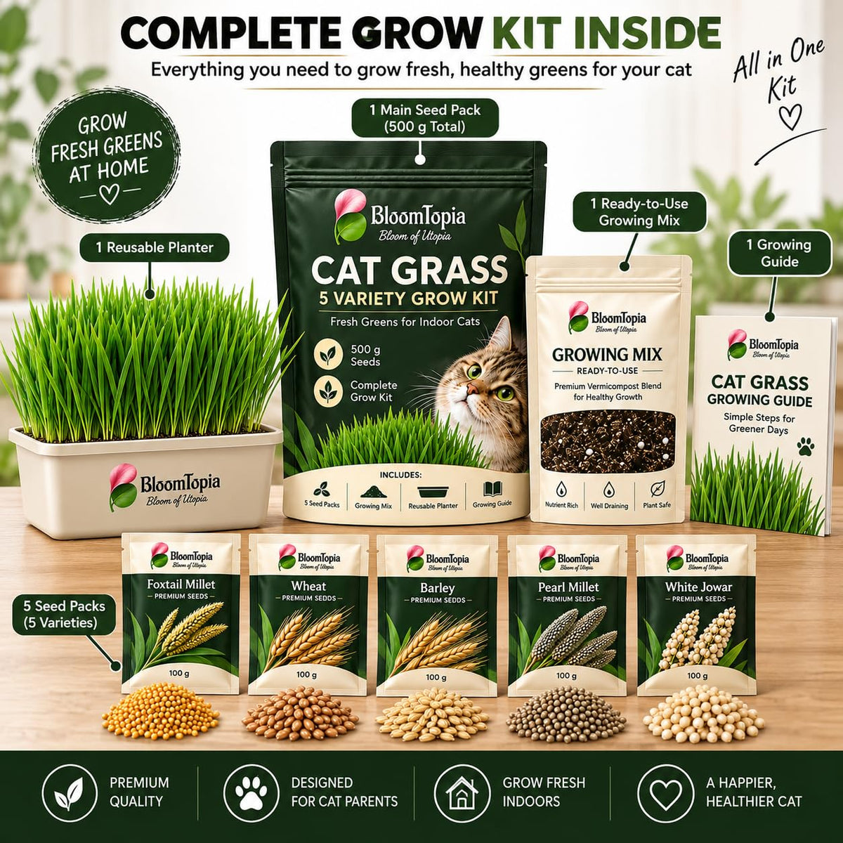 Cat grass kit-contents illustration with planter, growing mix and seed packs.