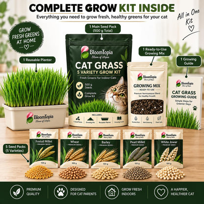 Cat grass kit-contents illustration with planter, growing mix and seed packs.