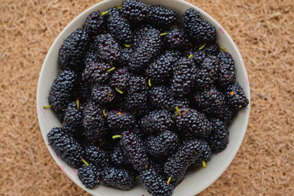 Bowl of harvested mulberries.
