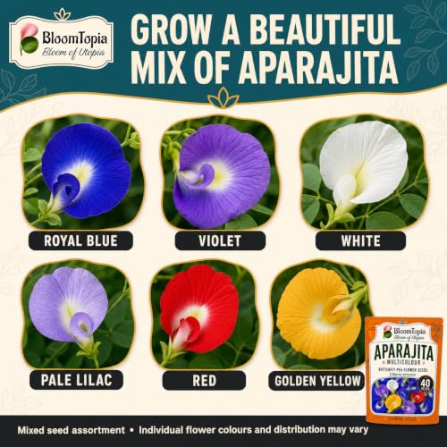 Illustrated flower-colour assortment for Aparajita seeds.