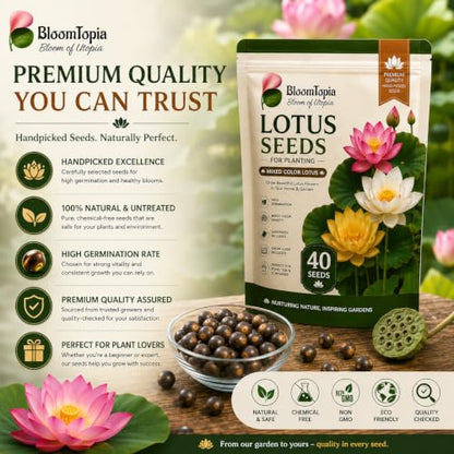BloomTopia lotus seed-pack and brand-information panel.