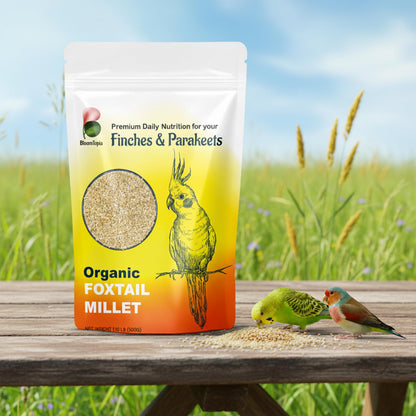 foxtail millet pouch displayed outdoors.