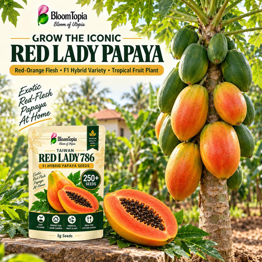 Illustrated papaya plant, fruit and seed packaging.