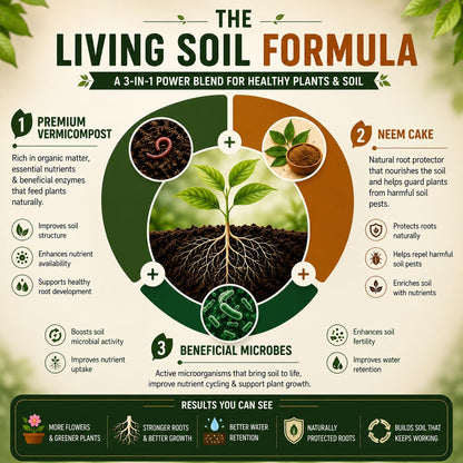 Plant roots in a vermicompost soil cross-section.