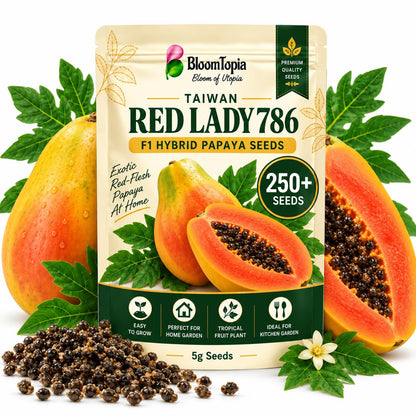 BloomTopia Red Lady papaya seed pouch beside fruit and loose seeds.