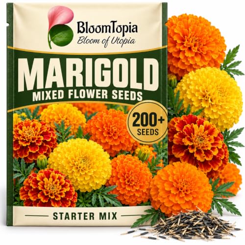 BloomTopia marigold seed pouch beside orange and yellow flowers.