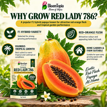 Papaya fruit illustration with variety-feature callouts.