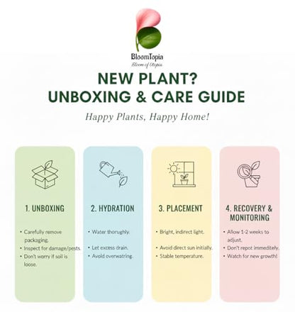 BloomTopia live-plant unpacking and arrival-care guide.