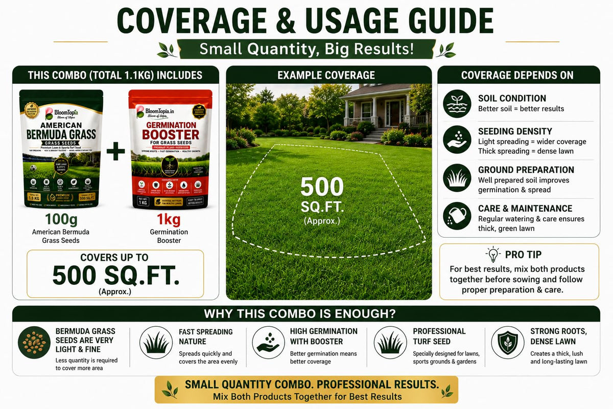 Lawn seed and booster coverage guide.