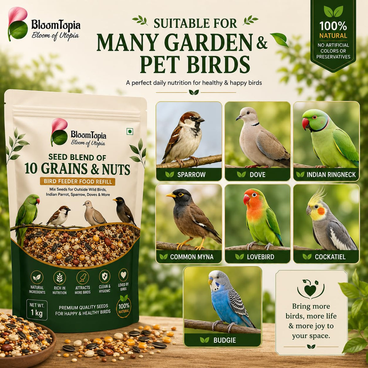 Illustrated examples of birds beside seed-feed packaging.