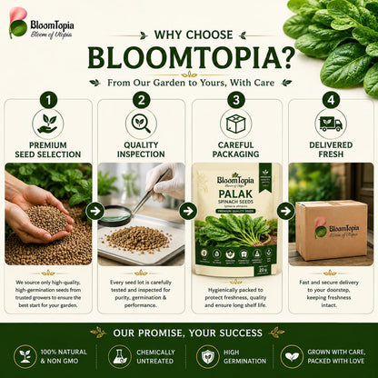 BloomTopia palak seed selection and packing panel.