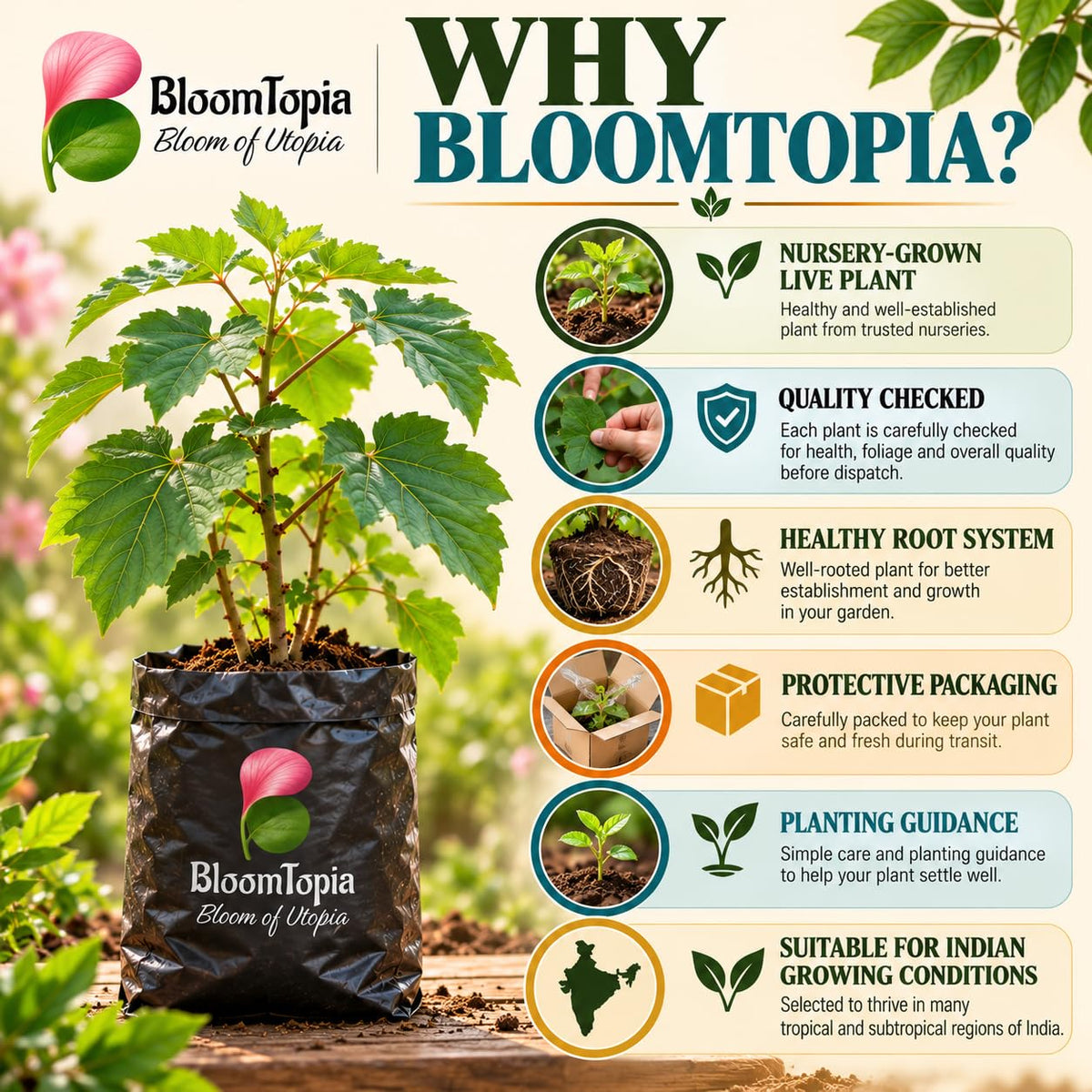 BloomTopia plant-handling and brand-information panel featuring Sthalapadma.
