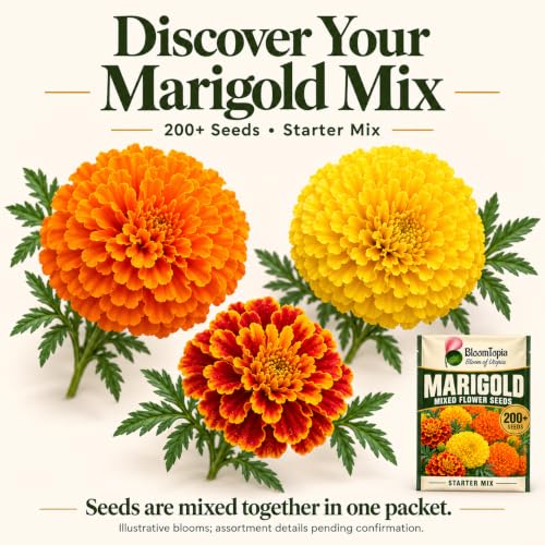 Close-up assortment of illustrated marigold flower forms.
