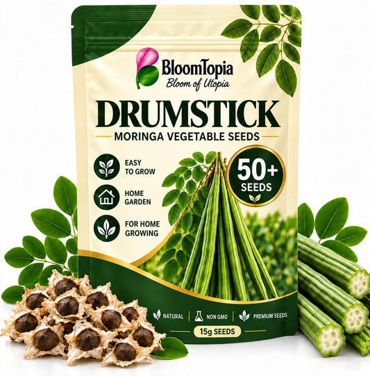 BloomTopia moringa seed pouch beside loose seeds and drumstick pods.