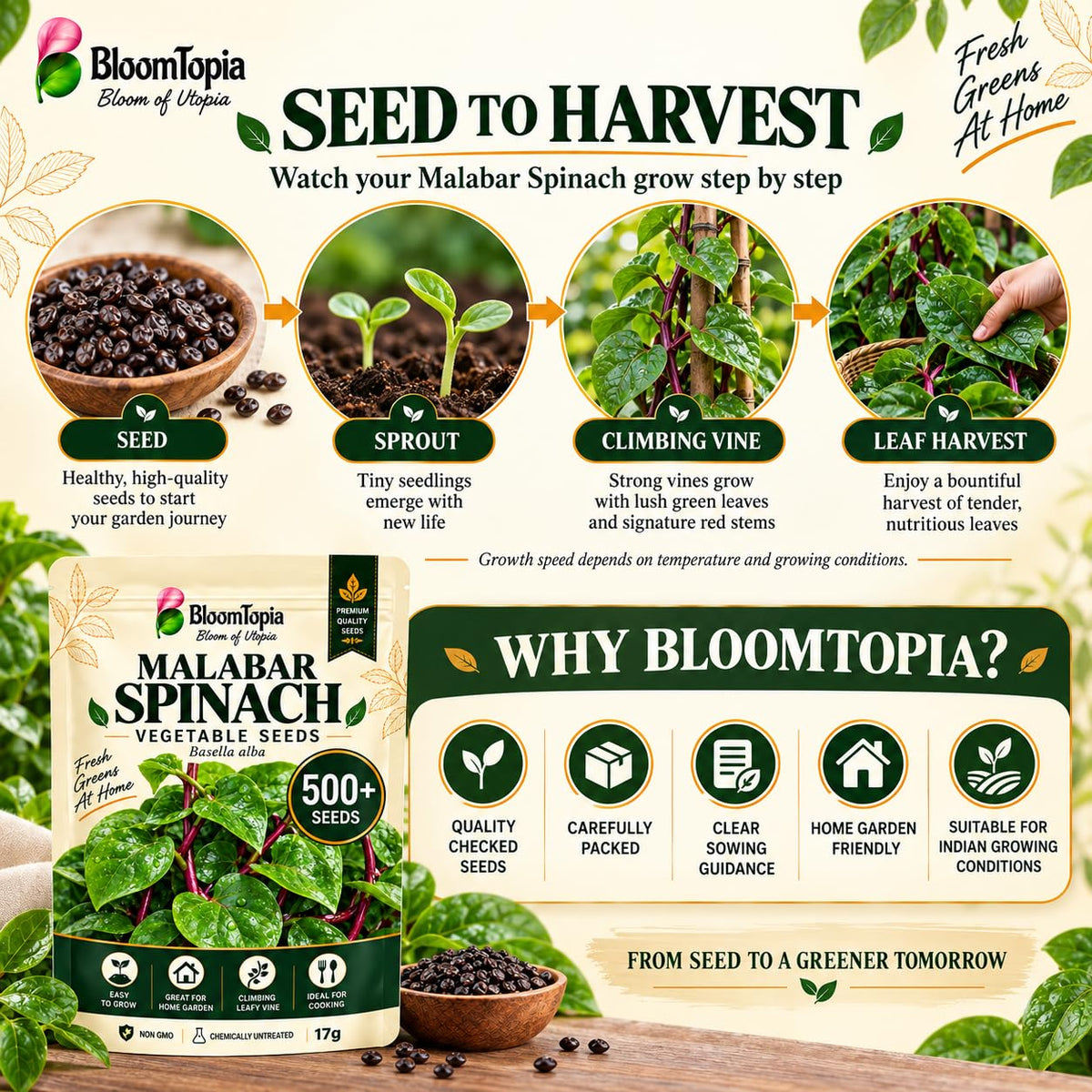 Malabar spinach growth-stage and BloomTopia brand-information panel.