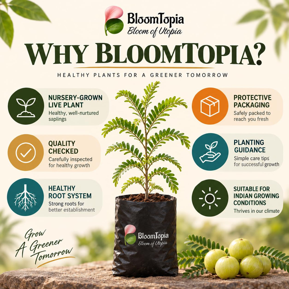BloomTopia plant-handling and brand-information panel featuring Hybrid Amla Indian Gooseberry.