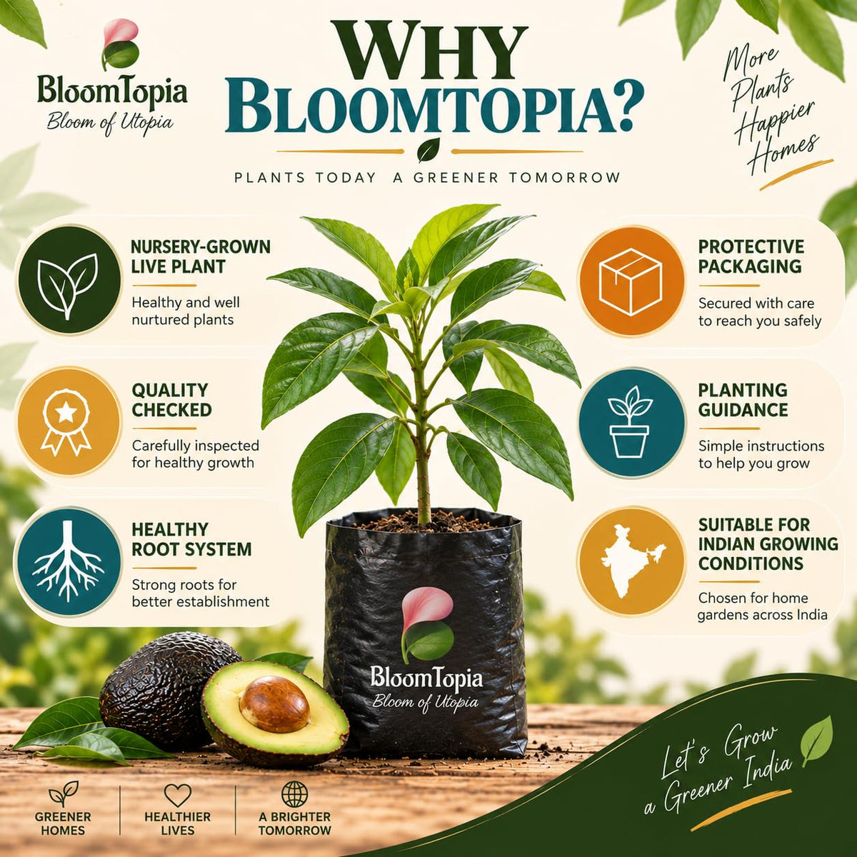 BloomTopia plant-handling and brand-information panel featuring Hass Avocado.