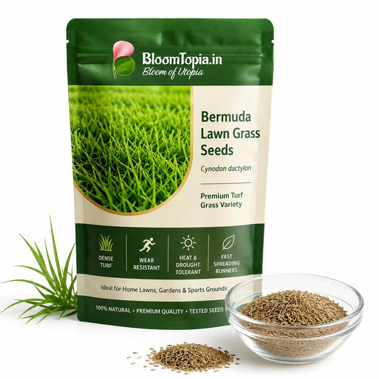 Bermuda lawn grass seed pouch beside a bowl of seeds.