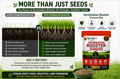 Germination booster product information panel.